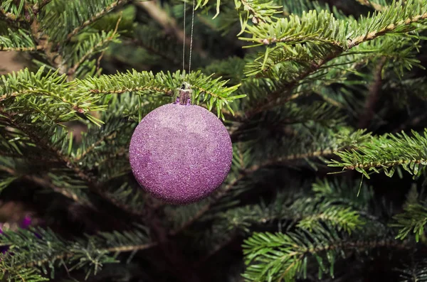 Close up of purple Christmas tree decorations — Stock Photo, Image