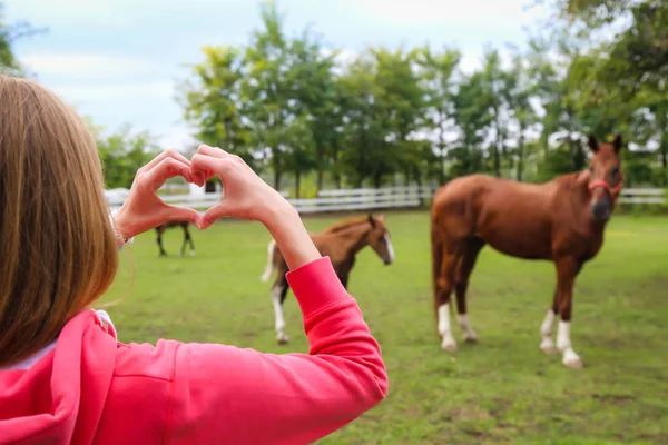 Uma mulher faz coração com as mãos e mostra cavalos — Fotografia de Stock