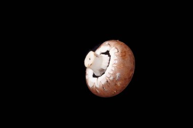 Siyah arka planda taze şampiyon mantarı.