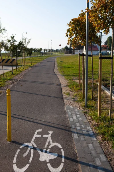 因检疫头牛而空旷的街道 — 图库照片