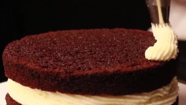 Cooking Cake Female Hands Black Gloves — Stock Video