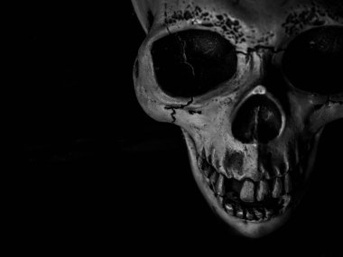 İnsan kafatası doku ile üstten görünüm koyu arka plan korku kavramı