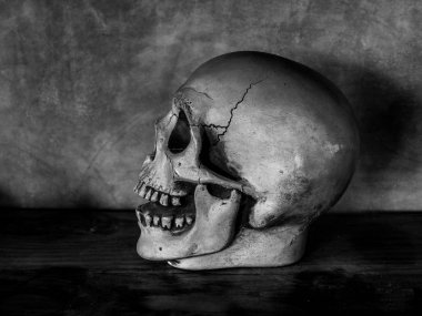 Karanlık çimento arka plan korku kavramı üzerinde doku ile insan kafatası yan görünüm