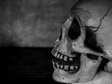 Karanlık çimento arka plan korku kavramı üzerinde doku ile insan kafatası yan görünüm