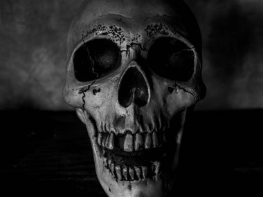 Karanlık çimento arka plan korku kavramı üzerinde doku ile insan Kafatasının önden görünüm