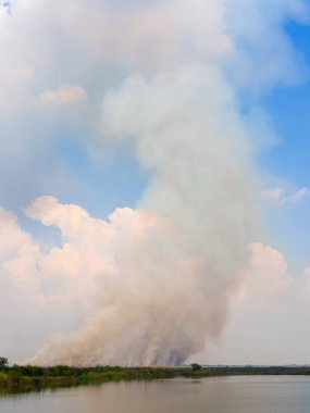 Yığın yüzen yakınındaki bataklık yanan ateşi ile havada duman