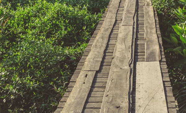 Starý Dřevěný Most Mangrovové Rostlin Slunečný Den — Stock fotografie