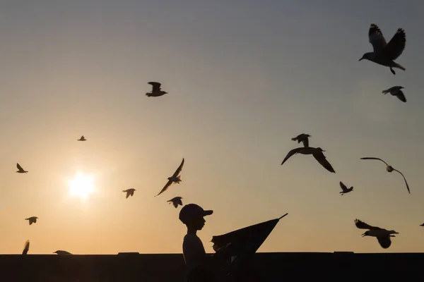 Silhouet Jongen Met Paraplu Vliegende Meeuwen Permanent Zonsondergang — Stockfoto