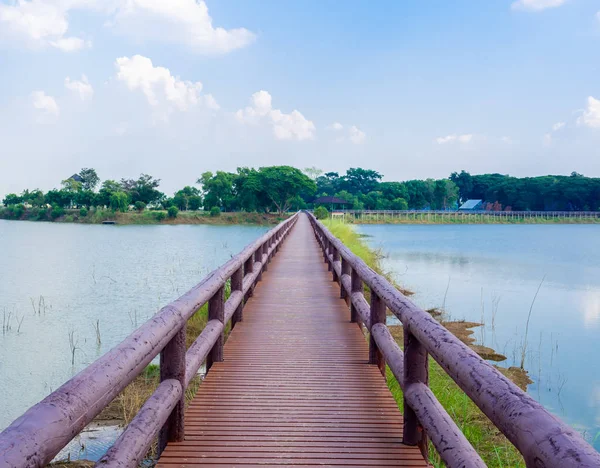 五月晴れの日に青い空と公園に沼の風景の頭の中の木製の橋歩道 — ストック写真