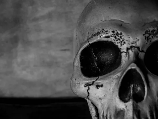 Half Face Human Skull Texture Dark Cement Background Horror Concept — Stock Photo, Image