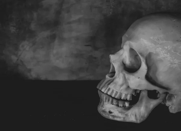 Vista Laterale Del Cranio Umano Legno Cemento Concetto Orrore Sfondo — Foto Stock