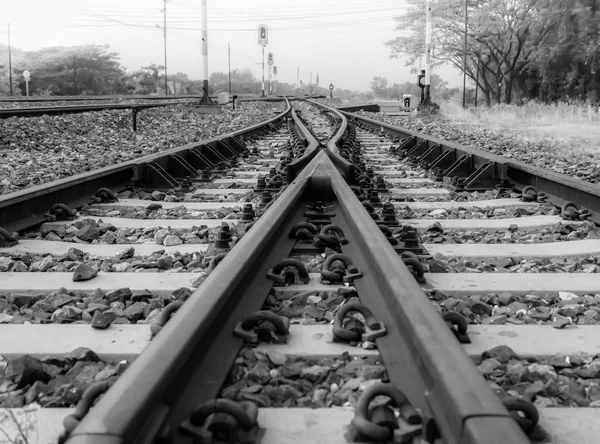 Black White Railway Tracks Traffic Light Local Train Station Landscape — Stock Photo, Image