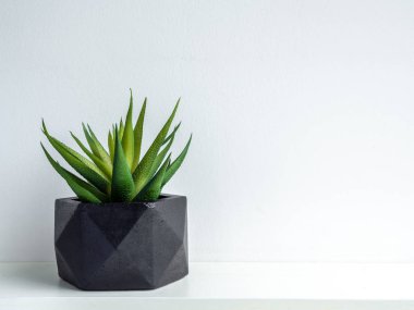Yeşil sulu pla ile modern siyah geometrik beton ekicisi