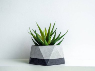 Modern geometrik beton ekicisi. Güzel beton kap..