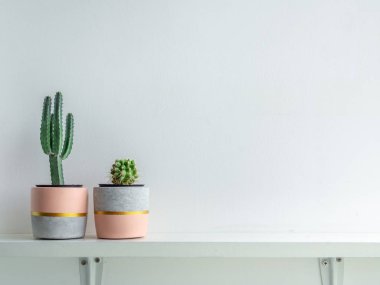 Modern geometrik beton ekiciler. Güzel boyanmış beton p