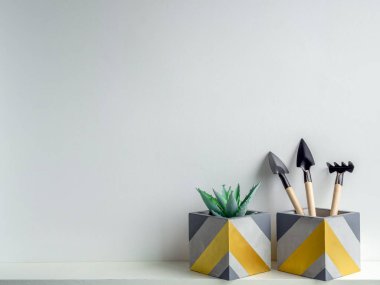 Modern geometrik beton ekiciler. Güzel boyanmış beton p