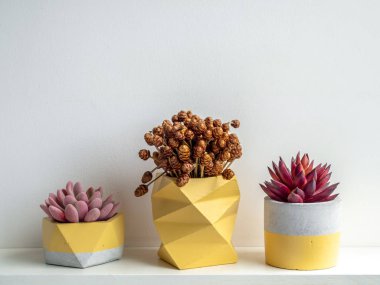 Modern geometrik beton ekiciler. Güzel boyanmış beton p