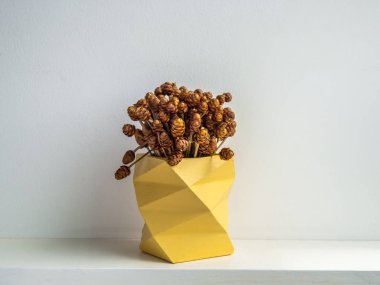 Modern geometrik beton ekiciler. Güzel boyanmış beton p