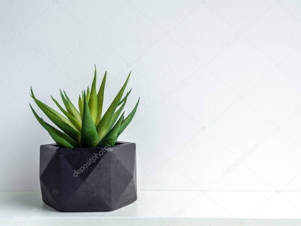 Modern black geometric concrete planter with green succulent pla