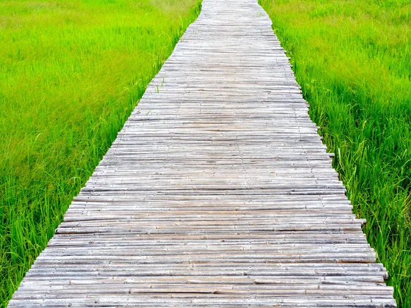 Bambubron. Bambu gångväg med gröna fält. — Stockfoto
