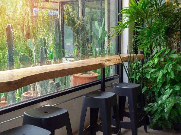 Live edge bar table and black chairs in cafe.