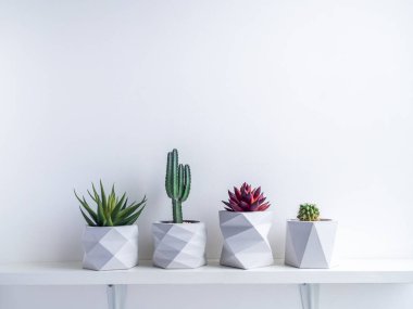 Cactus pot. Concrete pot. Modern geometric concrete planter. clipart