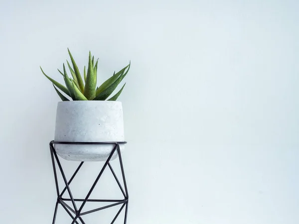 Cactus pot. Concrete pot. Modern geometric concrete planter. — Stock Photo, Image