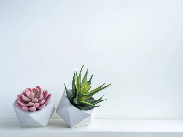 Pot de cactus. Pot à béton. Planteur géométrique moderne en béton . — Photo