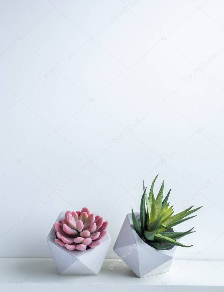 Cactus pot. Concrete pot. Modern geometric concrete planter.