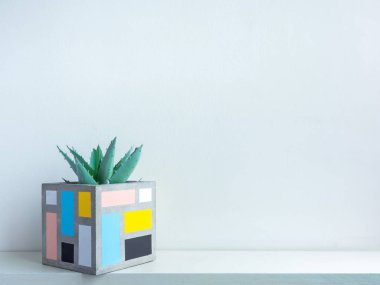 Kaktüs tenceresi. Beton çömlek. Modern geometrik beton ekicisi.