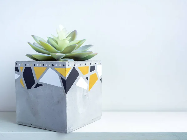 Panci Kaktus. Pot beton. Penanam beton geometris modern . — Stok Foto