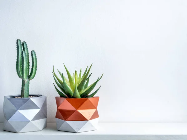 Cactus pot. Betonnen pot. Moderne geometrische betonnen plantenbak. — Stockfoto