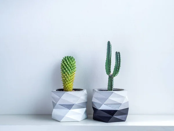 Cactus pot. Concrete pot. Modern geometric concrete planter.