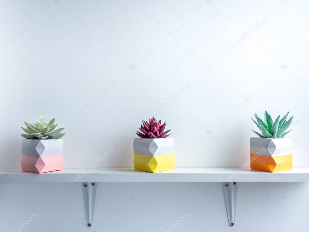 Cactus pot. Concrete pot. Modern geometric concrete planter.