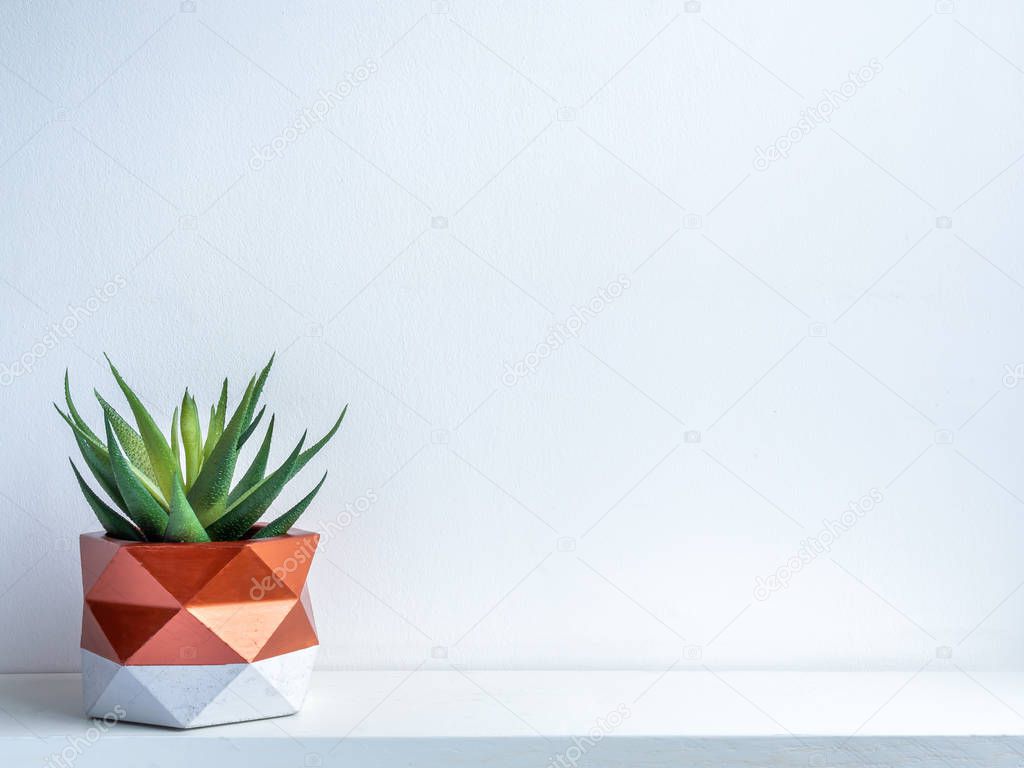 Cactus pot. Concrete pot. Modern geometric concrete planter.