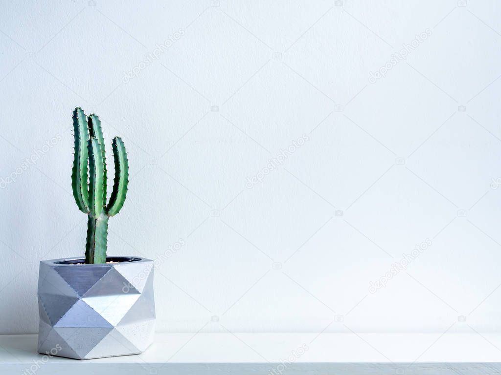 Cactus pot. Concrete pot. Modern geometric concrete planter.