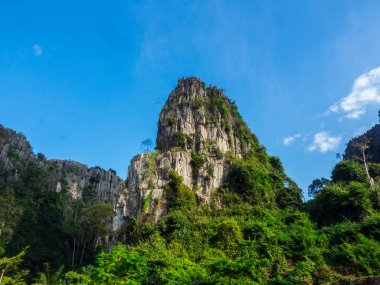 Mavi gökyüzünde yeşil ormanı olan Taş uçurum dağı.
