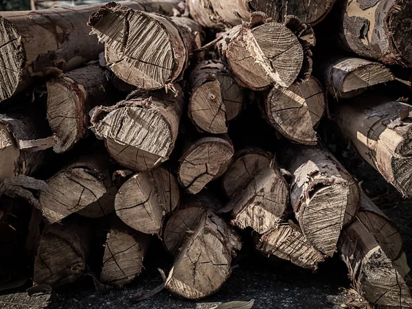 Piles of tree cut trunks background. — Stock Image Piles of tree cut trunks background. Stock Image