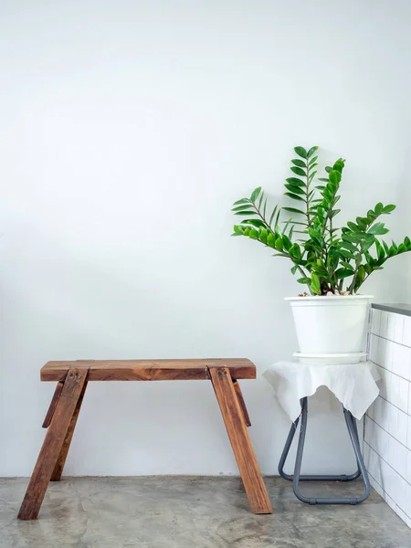 White Cafe Decoration Minimal Style Green Leaves White Pot Wooden — Stock Photo, Image