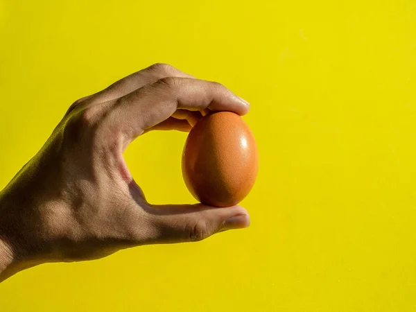 黄色の背景に単離された新鮮な鶏の卵を保持手 ミニマリストトレンディーなスタイル — ストック写真