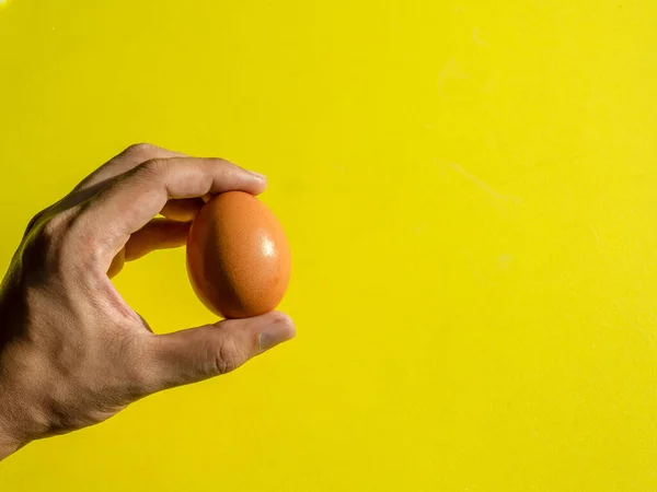 Mão Segurando Ovo Galinha Fresco Isolado Fundo Amarelo Com Espaço — Fotografia de Stock
