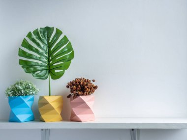 Kaktüs tenceresi. Beton çömlek. Üç boş mavi, pembe ve sarı modern geometrik çimento saksısı, çiçekler, yeşil yaprak ve kuru çiçek, beyaz ahşap rafta, beyaz arka planda izole edilmiş, kopyalama alanı olan..