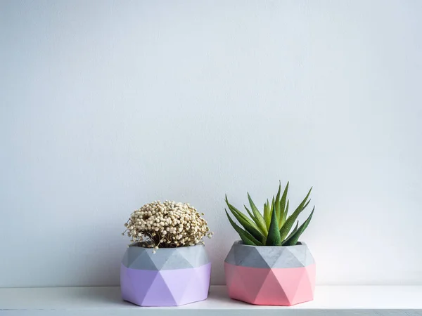 Cactus Pot Betonnen Pot Twee Roze Paarse Moderne Geometrische Betonnen — Stockfoto