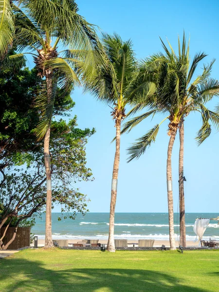 緑の芝生の上にヤシの木や夏の青空の背景に砂のビーチ 美しい熱帯の海の背景垂直スタイル — ストック写真