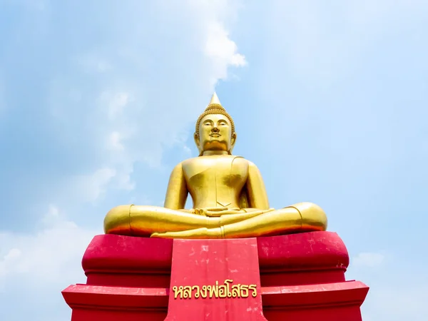 Pathum Thani Thailand May 2020 位于泰国帕坦阿勒萨尼的瓦特波特寺蓝天背景上 美丽的大菩提树 有泰语名 朗弗索刺 — 图库照片