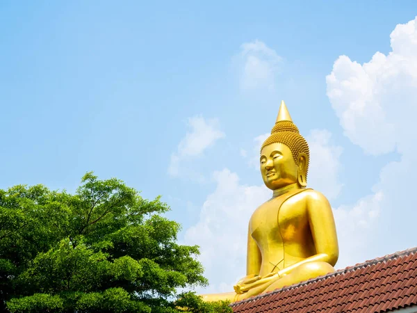 Pathum Thani Thailand May 2020 位于泰国帕坦萨尼的瓦特波特寺蓝天背景上美丽的大花蕾 朗弗索刺 — 图库照片