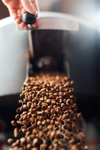 The flow of coffee beans from hand open flap of the cooling mixe