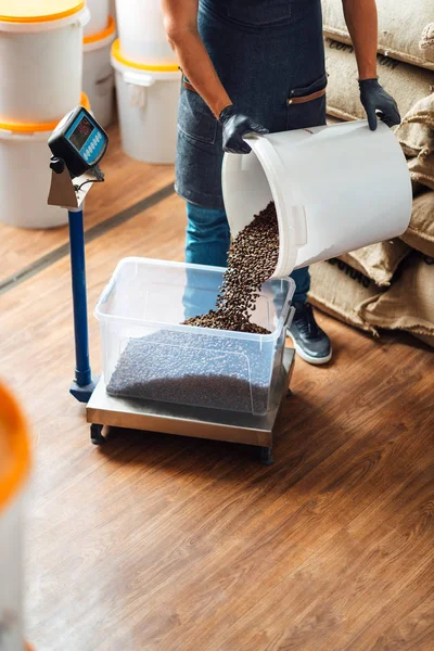 Рабочий наливает жареные кофейные зерна из ведра в поднос — стоковое фото