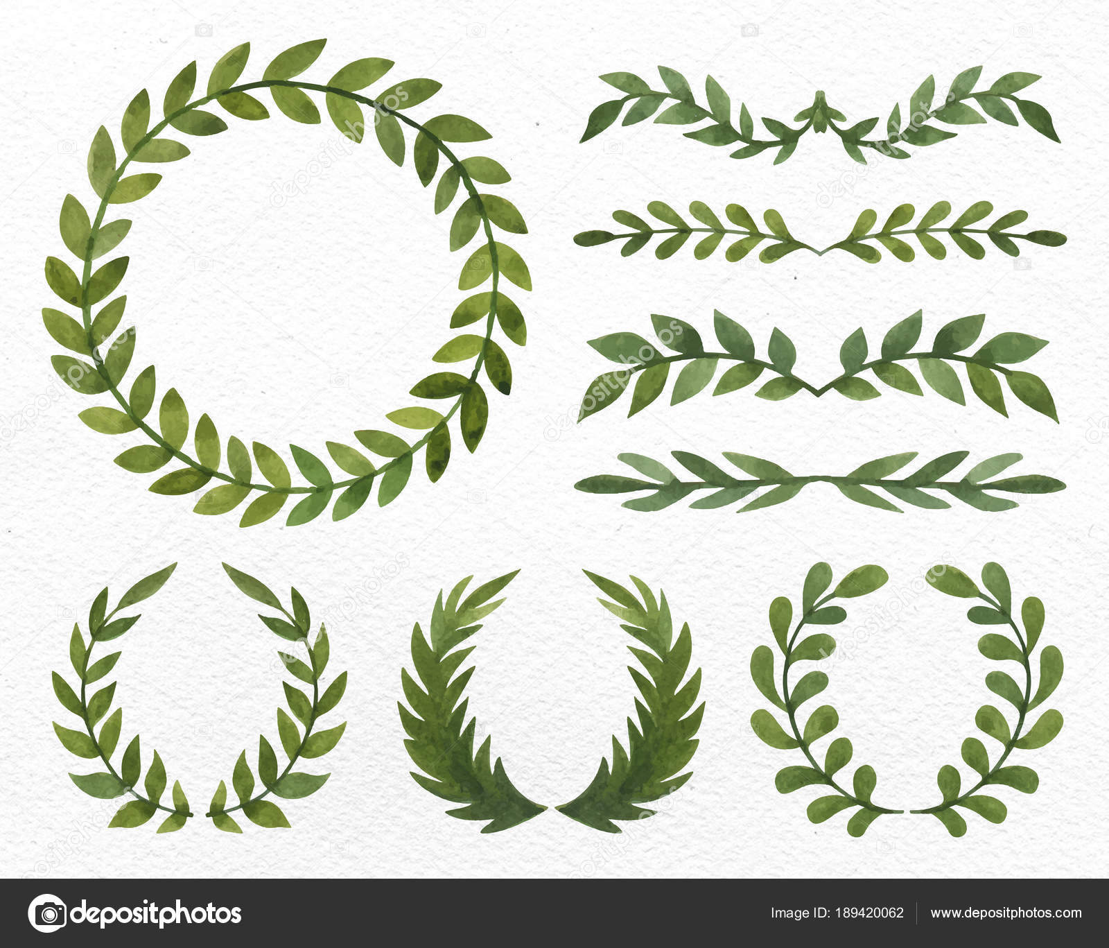 Aquarela Vetorial Folhas Ramos Verdes imagem vetorial de © artlantsa