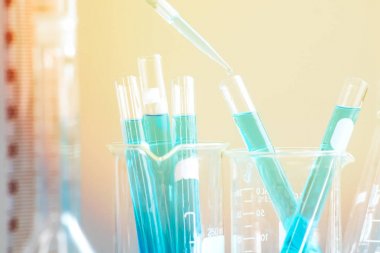 bilim adamı araştırma kimya bilim Laboratuvarı